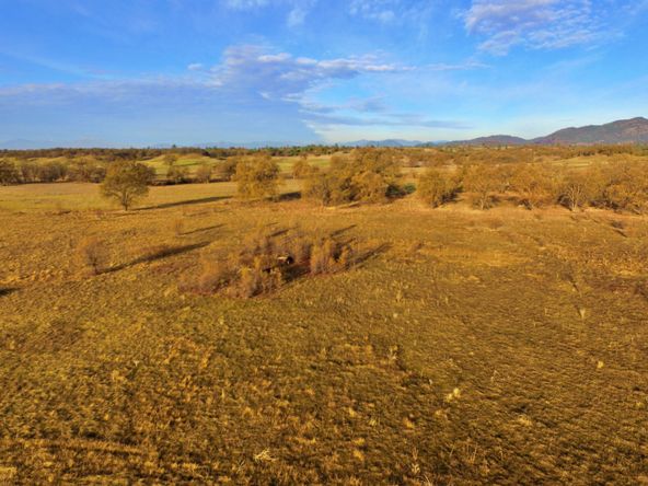 Bella Vista Development Opportunity: 60 acres, Hwy 299E, Redding, CA 96003